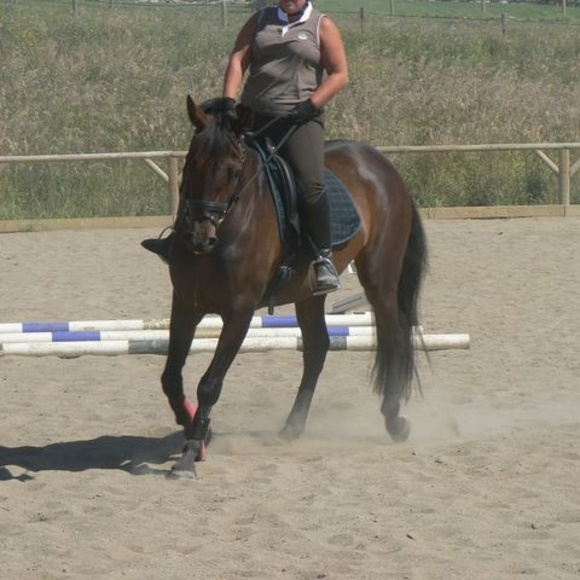 Meet your Posher, Greetje - Picture 1 of 1